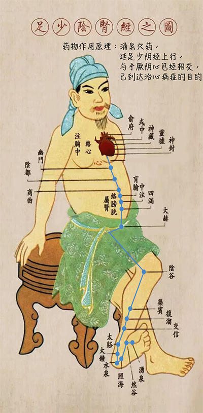 孟氏动态经络图400